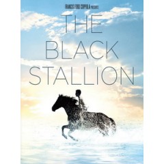 [英] 黑神駒 (The Black Stallion) (1979)[台版]