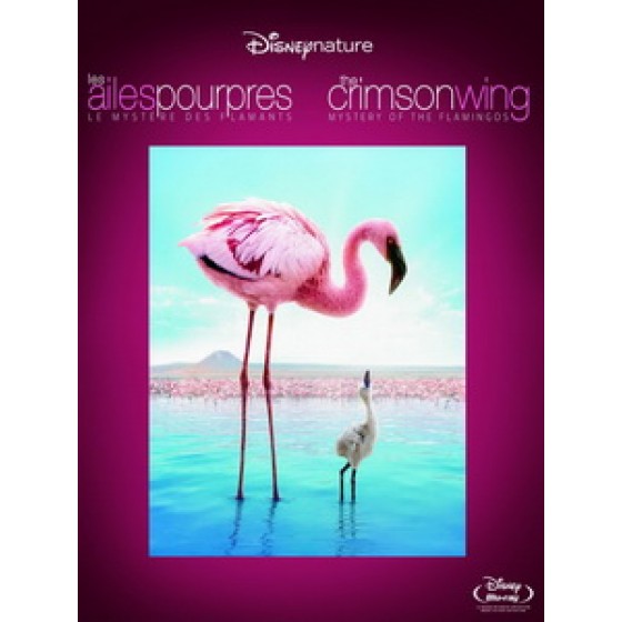 [英] 紅色羽翼 - 火鶴之謎 (The Crimson Wing - Mystery of the Flamingos) (2008)[台版]