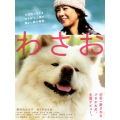 [日] 哇沙噢與我 (WASAO) (2011)[台版]