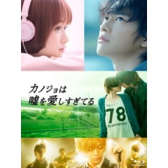 [日] 她愛上了我的謊 (The Liar and His Lover) (2013)[台版字幕]