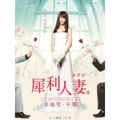 [中] 犀利人妻最終回 - 幸福男．不難 (The Fierce Wife - Woman Onerous - Seeking Mr.Right) (2012)[台版]