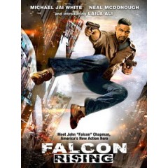 [英] 獵鷹上升 (Falcon Rising) (2014)