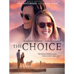 [英] 選擇 (The Choice) (2016)