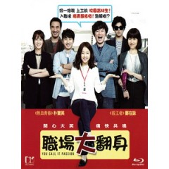 [韓] 菜鳥的逆襲 (You Call It Passion) (2015)[台版字幕]