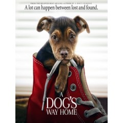 [英] 為了與你相聚 (A Dog's Way Home) (2019)[台版字幕]