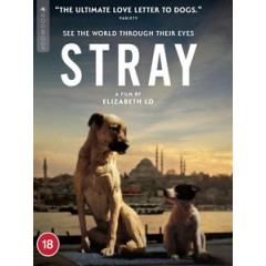 [土] 浪浪伊斯坦堡 (Stray) (2020)[台版字幕]