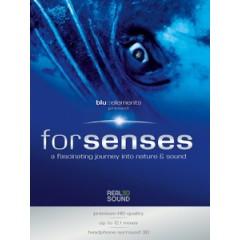forsenses 藍光測試碟