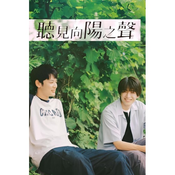 [日] 向陽之處必有聲 ひだまりが聴こえる (2024)[Disc *2]