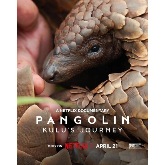 [英] 穿山甲Kulu的旅程 Pangolin: Kulu’s Journey (2025)