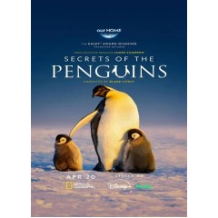 [英] 企鵝之謎 Secrets of the Penguins (2025)