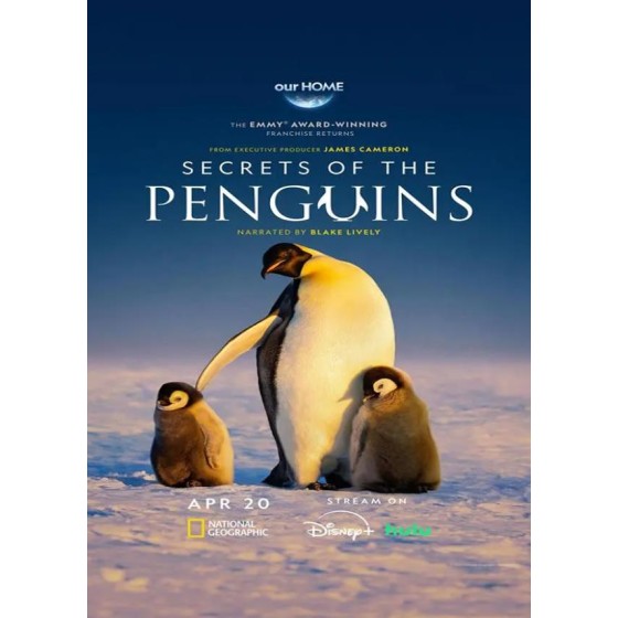 [英] 企鵝之謎 Secrets of the Penguins (2025)