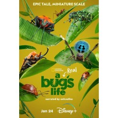 [英] 蟲蟲危機/ 蟲蟲特工隊第一季 A Real Bug's Life Season 1 (2024)